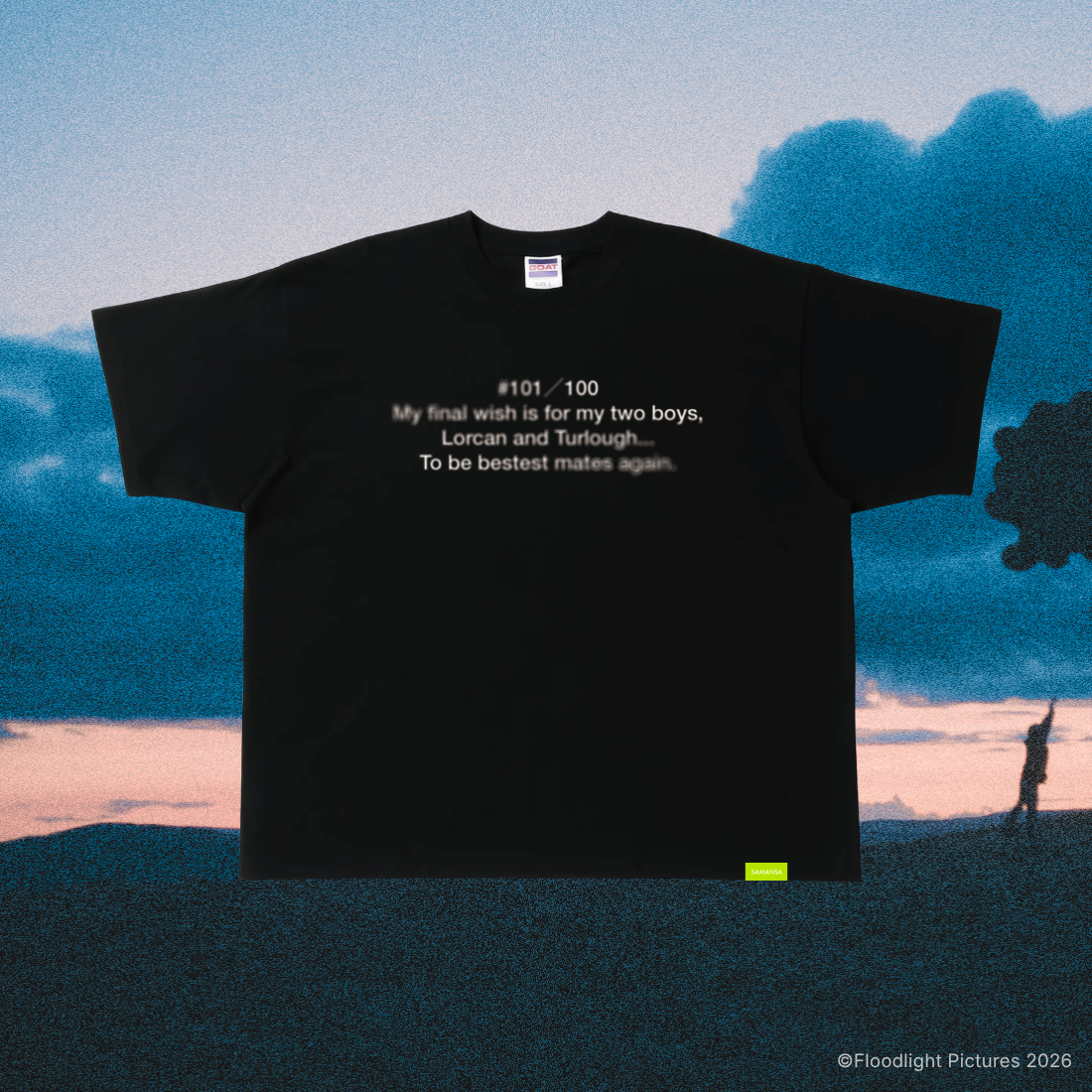 An Irish GoodBye  Message Tee